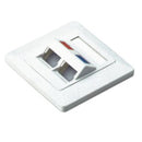 NetiX Angled Face Plate Dual Port with Shuttle .