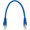 Linkbasic 22Cm Utp Cat5E Flylead Blue
