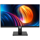 Dahua 24.5" FHD Commercial Monitor