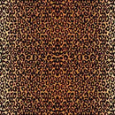 2008768 - Cricut Infusible Ink Transfer Sheets 2-Pack (Leopard) 12X12