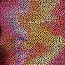 2008769 - Cricut Infusible Ink Transfer Sheets 2-Pack (Rainbow Cheetah) 12X12