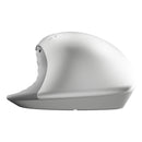 EMEA - INTL English Loc Euro plug