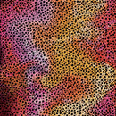 2008769 - Cricut Infusible Ink Transfer Sheets 2-Pack (Rainbow Cheetah) 12X12