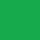 Cricut Infusible Ink Transfer Sheets 2-Pack (Bright Green)
