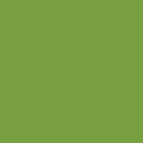 Cricut Premium Vinyl Perm 30X120Cm (Lime Green)