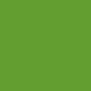Cricut Premium Vinyl Perm 30X120Cm (Lime Green)