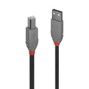 Lindy Anthra Line Usb2.0 A-Male To B-Male Cable - 5M