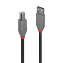 Lindy Anthra Line Usb2.0 A-Male To B-Male Cable - 2M