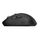 Port Expert Wireless Black Mouse