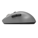 Port Expert Wireless Silver Mouse