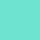 Cricut Smart Vinyl Permanent 33X91Cm 1 Sheet (Mint)