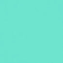 Cricut Smart Vinyl Permanent 33X91Cm 1 Sheet (Mint)
