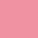 2009059 - Cricut Smart Iron-On 33X273Cm 1 Sheet (Pink)