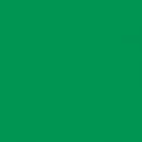 Cricut Smart Vinyl Permanent 33X91Cm 1 Sheet (Grass)