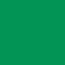 Cricut Smart Vinyl Removable 33X366Cm 1 Sheet (Grass)