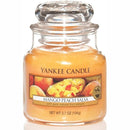 Yankee Candle Mango Peach Salsa Small Jar
