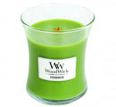 Woodwick Evergreen Medium Jar