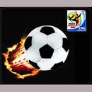 Esquire Official FIFA 2010 Licensed Product