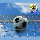 Esquire Official FIFA 2010 Licensed Product
