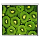 Esquire Electric Projector Screen 300 X 169 1 year Limited Warranty