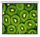 Esquire Electric Projector Screen 300 X 169 1 year Limited Warranty