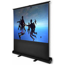 Esquire Scena Pull Up Projector Screen 54 inches - 1.2m X .0.68m Wide Screen 16:9 format Matte White Screen Surface 1 year Limited Warranty