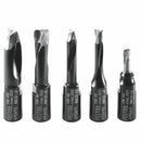 Festool DOMINO Cutter Set DF 500 D 4/5/6/8/10mm 5 Piece