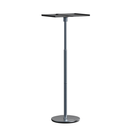 Wanbo Floor Stand Pro