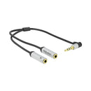 Delock Angled St F 3.5Mm - 2X St M 3.5 Cbl (66437)