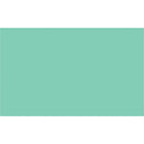 Cricut Premium Vinyl Perm 30X120Cm (Pastel Green)