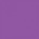 2004308 - Cricut Premium Vinyl Removable 30X120Cm (Light Purple)