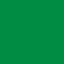 Cricut Premium Vinyl Removable 30.5 Cm X 122 Cm (Green)