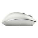 EMEA - INTL English Loc Euro plug