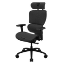 Thunderx3 XTC Ergonomic Chair - Mesh Black (TEGC-3054101.11).