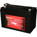 Deltec 12V 100Ah Sealed Gel Battery