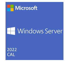 1-Pack Of Windows Server 2022 2019 User Cals (Std Or Dc) Cus Kit