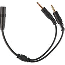 Corsair Hs35 Stereo Gaming Headset  Carbon - Multi Platform Compatibility 3.5Mm (1To2 Splitter Included)