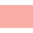 2004688 - Cricut Everyday Iron-On 12X24'' (Blush)