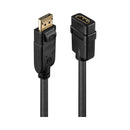 Lindy Displayport To Hdmi Converter