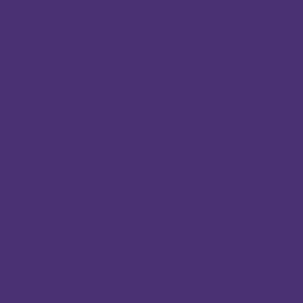 2008886 - Cricut Infusible Ink Sheet Ultraviolet 2Pc