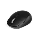 Port Wirelees And Bluetooth Mouse Pro