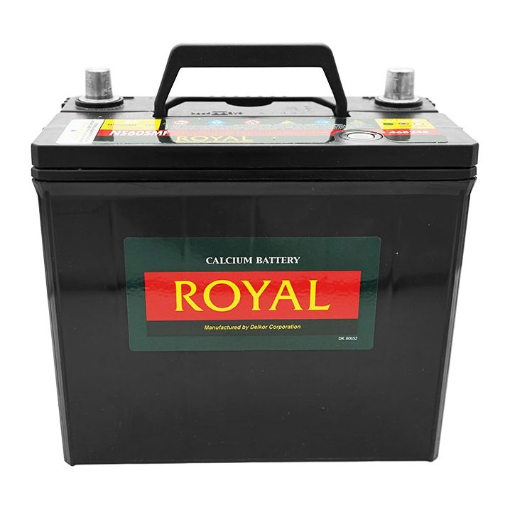 Royal Bat-12V45Ah 12V Semi-Sealed Lead Acid Battery