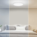 Xiaomi Mi Smart Led Ceiling Light - 450Mm