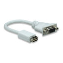 Manhattan Mini DVI 32P to VGA HD15F Cable-Easily connects a mini-DVI source with VGA cable Limited Lifetime Warranty