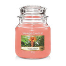 Yankee Candle Last Paradise Small Jar