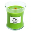 Woodwick Evergreen Medium Jar