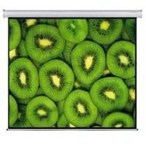 Esquire Electric Projector Screen 300 X 169 1 year Limited Warranty