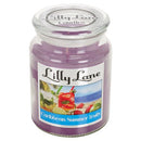 Lilly Lane Caribbean Summer Fruits Scented Candle Large Lidded Mason Glass Jar – Wax Capacity 510grams Burn Time Up to 75 Hours High Quality Premium paraffin wax Natural Material Wick 100% recyclable Large Lidded Mason Glass Jar