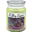 Lilly Lane Sweet Pea Scented Candle Large Lidded Mason Glass Jar – Wax Capacity 510Grams, Burn Time Up To 75 Hours, High Quality Premium Paraffin Wax, Natural Material Wick , 100% Recyclable, Large Lidded Mason Glass Jar Retail Box No Warranty