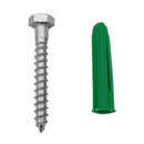 Coach Screw With Wall Plug